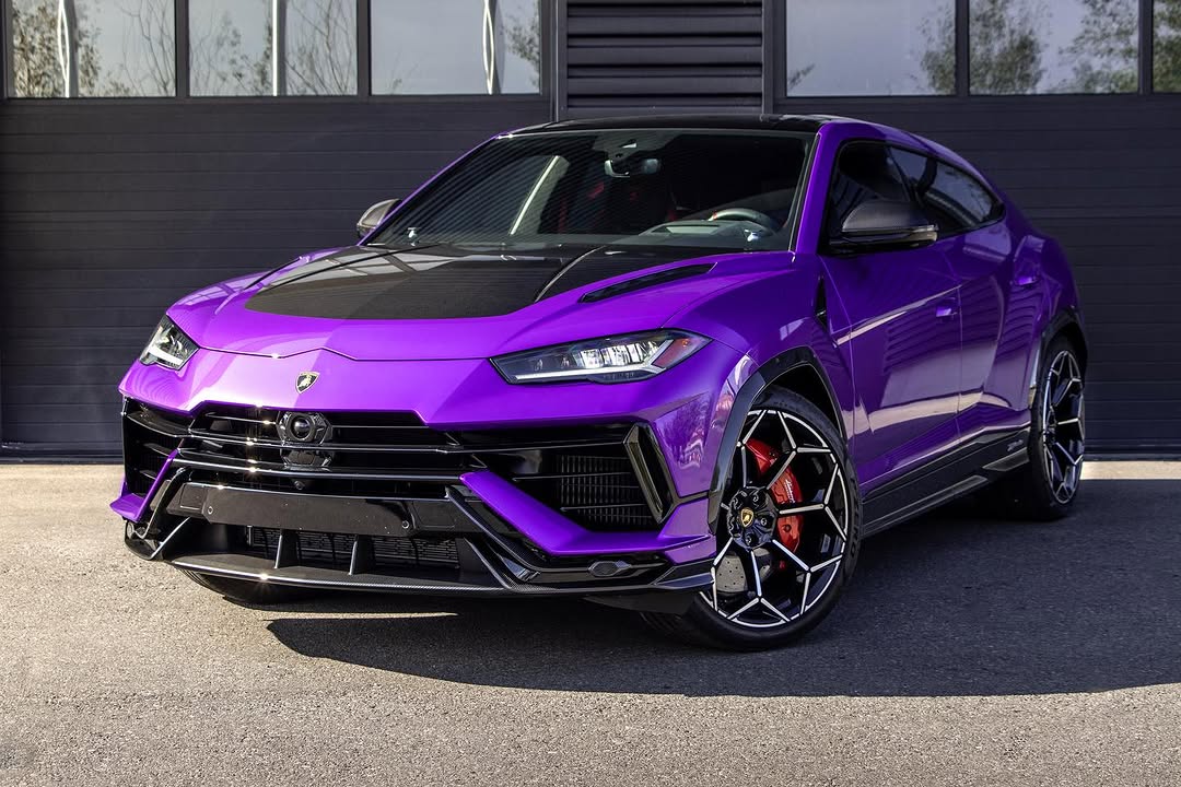 Lamborghini Urus Purple on Black